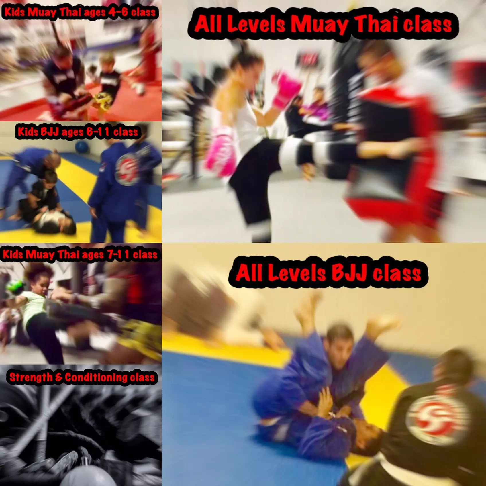 45% Off Martial Arts / Karate / MMA - Primary Image