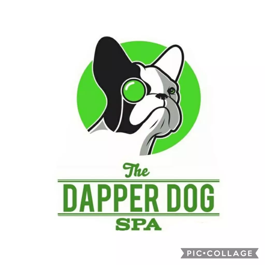 25% Off Grooming - Pet - Primary Image