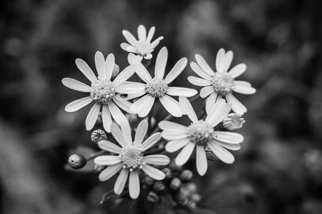 $200 Worth of Services - Primary Image