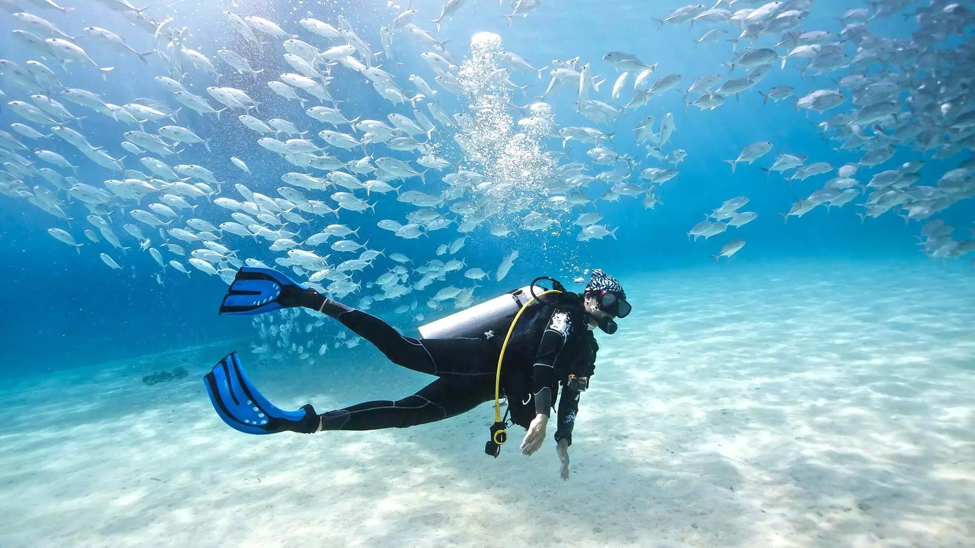 $200 for $400 Worth of Services — SEALS WATERSPORTS - Primary Image
