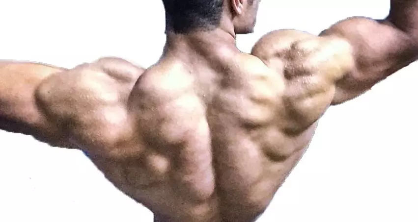 $500 Worth of Services - Primary Image