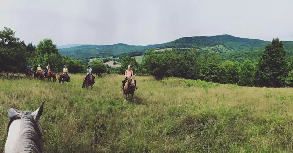 30% Off Horse Back Riding - Recreational - Primary Image