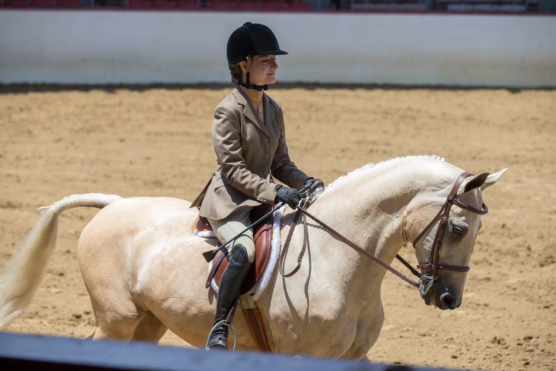 $60 for $120 Worth of Services — Golden Glen Stables - Primary Image