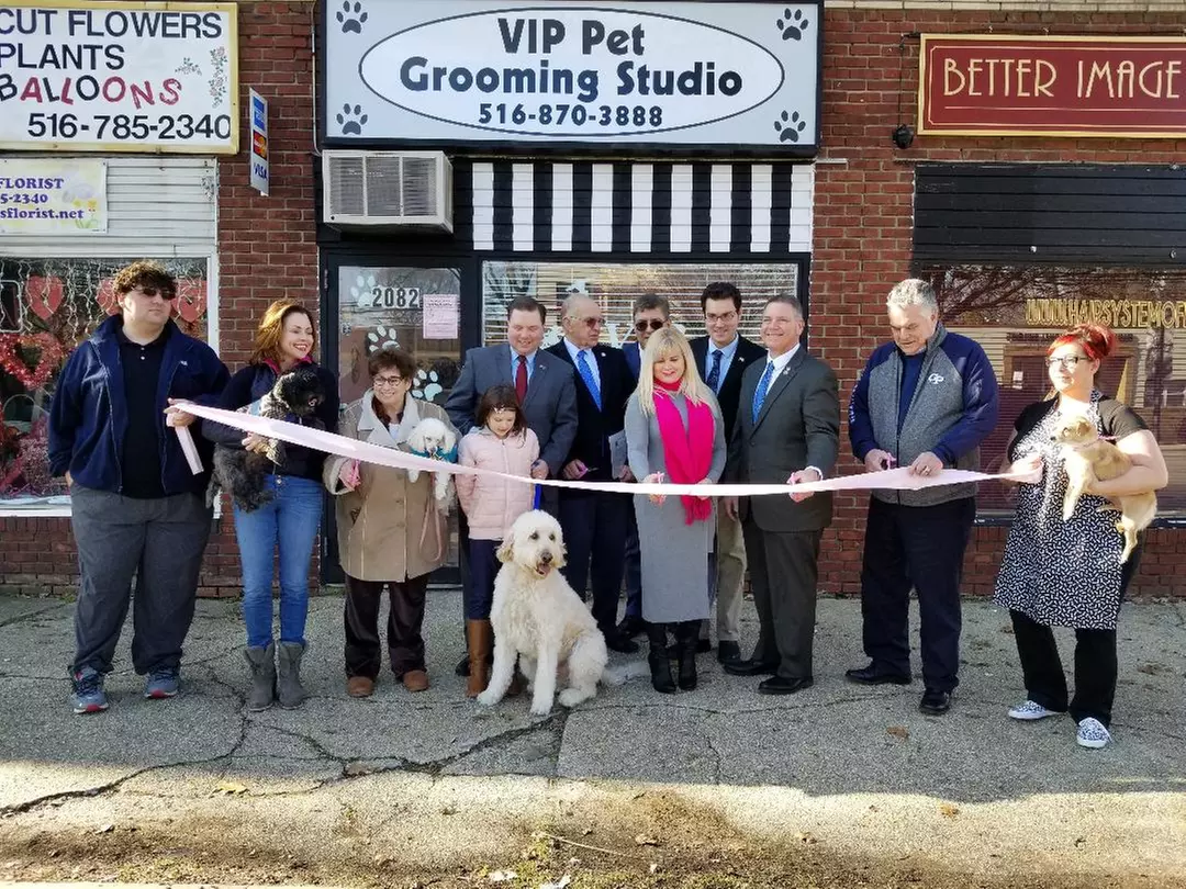 $40 for $65 Worth of Services — VIP Dog grooming - Primary Image