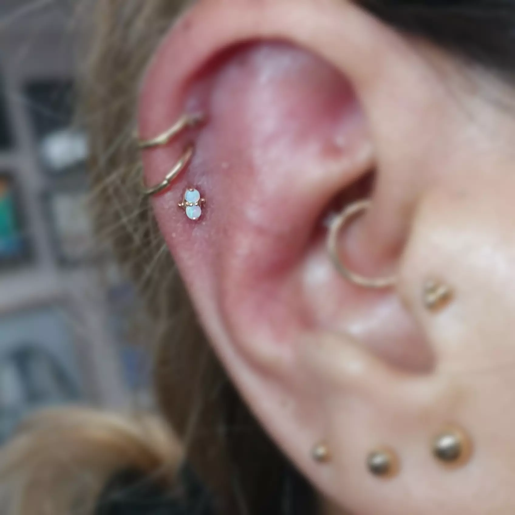 $30 Worth of Piercing Services - Primary Image