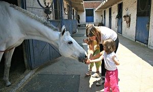 Curso de verano de equitación para 1 o 2 niños hasta 48% off