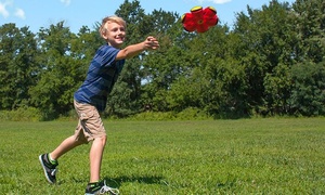  Frisbee Ball 