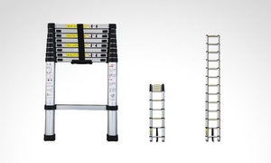  Escalera Plegable Telesc... 