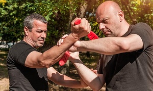 Hasta 76% off en 4, 8 o mensualidad de krav maga