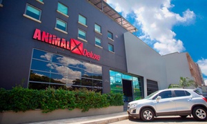 Mensualidad en AnimalX con 50% off