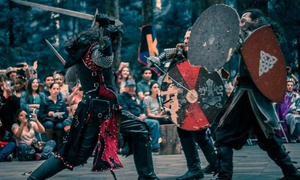 Entrada para dos al festival Kamelot Show Medieval con 47% off