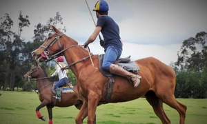 1, 4 o 6 clases de polo con 55% off