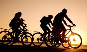 Recorrido diurno o nocturno en bicicleta para dos con 35% off