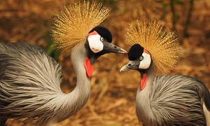 Entradas a Parque Zoológico Santa Fe hasta 45% off