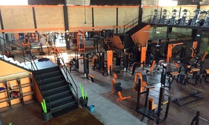 Orange Gym Hasta 12 Meses Orange Gym Hasta 12 Meses