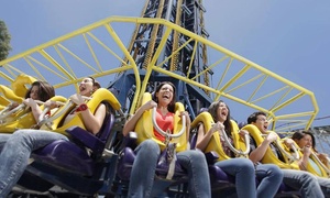 Pase platino para La Feria de Chapultepec hasta 61% off