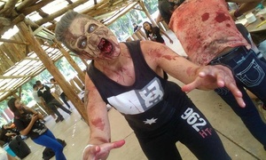 Kit para dos para Pandemia Zombie con 30% off