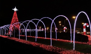 Tour de luces por Bogotá con transporte + refrigerio hasta 56% off