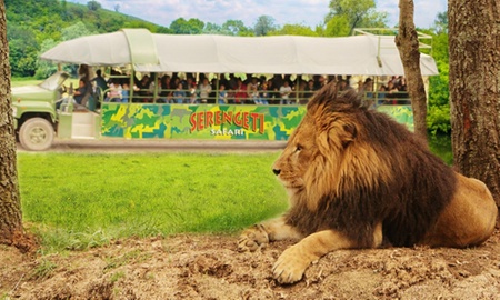 Pasaportes safari en Bioparque Estrella México hasta 55% off