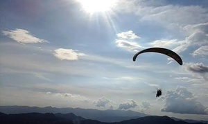 Vuelo en parapente para uno, dos, tres o cuatro + video desde $94.900