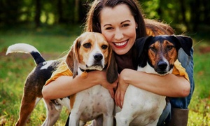 2 entradas para el Bogotá Dog Fest el 1 de octubre 50% off