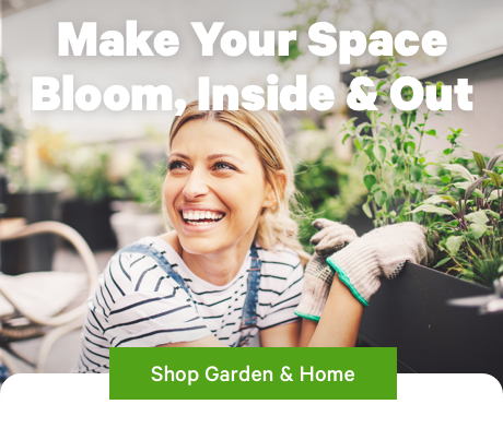 Make Your Space Bloom, Inside & Out