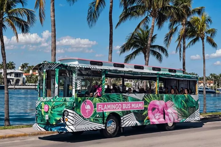 Miami Bus Tours Flamingo Bus Miami Tour Open-Air Trolley - Primary Image