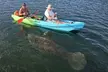 Crystal River Sunset Kayak and Paddleboard with Manatees Rental - Second Medium