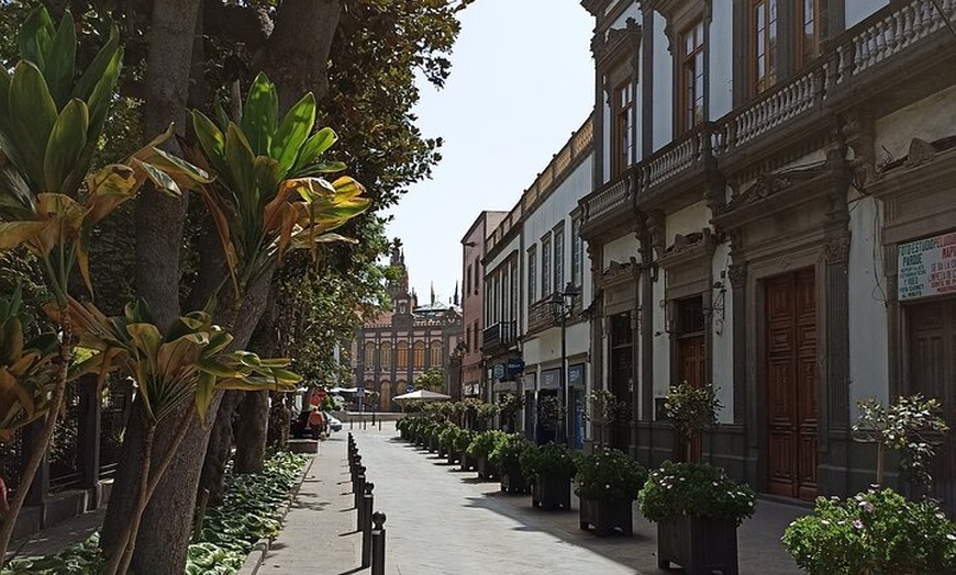 Image 4: Descubre Gran Canaria: Tour Privado Pueblos Icónicos y Picnic