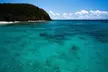 Private Snorkel and Dive Charter to Culebra (Up to 5 Guests) - Second Medium
