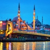 Image 10: ✈ TURQUIE | Istanbul - Blue Istanbul Hotel et dîner-croisière sur l...