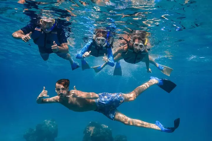 Kayak, Whale Watch, and Snorkel With Optional Photo and Video