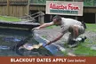 $18.50 for $37 worth of One Admission To The Alligator Farm - BLACKOUT DATES APPLY - Second Medium