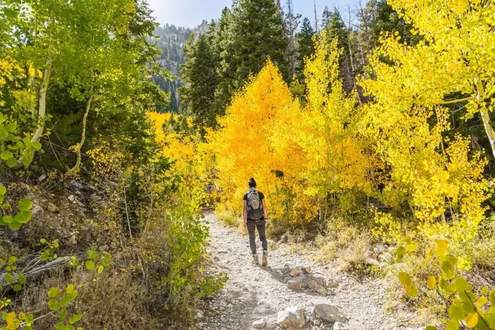 Mount Charleston Tour from Las Vegas