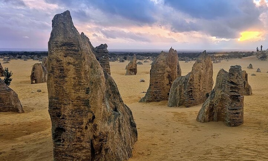 Image 9: Pinnacles Desert Sunset Dinner and Stargazing Tour