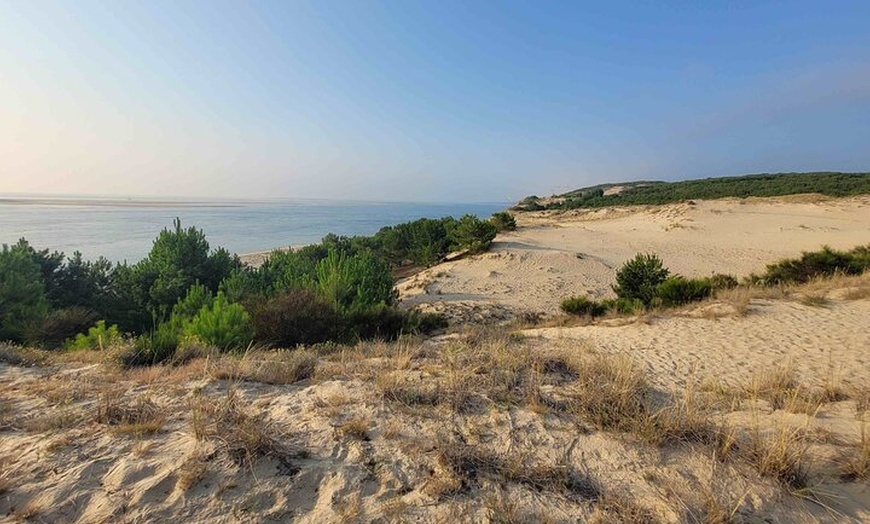 Image 4: Visite privée à Dune Du Pilat et Oyster Village