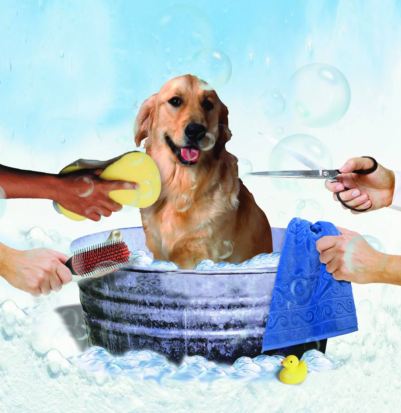 $30 For $60 Toward Pet Grooming Services - Second Medium