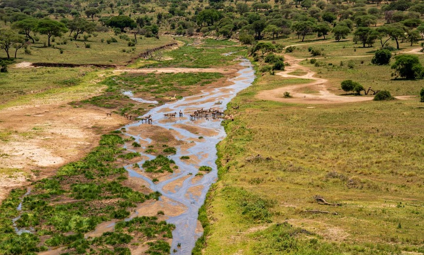 Image 8: ✈ TANZANIE | Du Kilimanjaro à Nairobi - Des hauteurs du Kilimandjar...