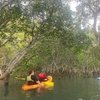Image 1: Raby Bay Wildlife Kayak Tour