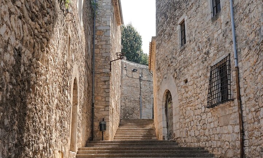 Image 2: Visita turística cultural privada desde Barcelona