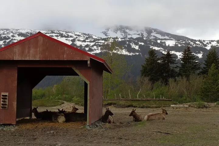 Self Guided Driving Audio Tour: Anchorage to Seward Roundtrip