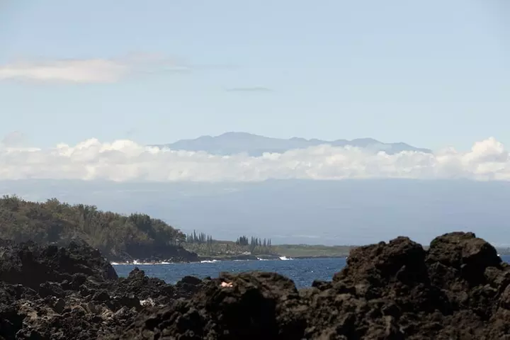 Secret Tide Pool Hike - Jungle & Coast - Private