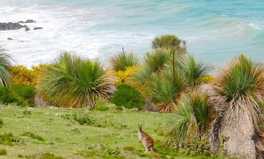 Image 3: Bush and Bay in a Day