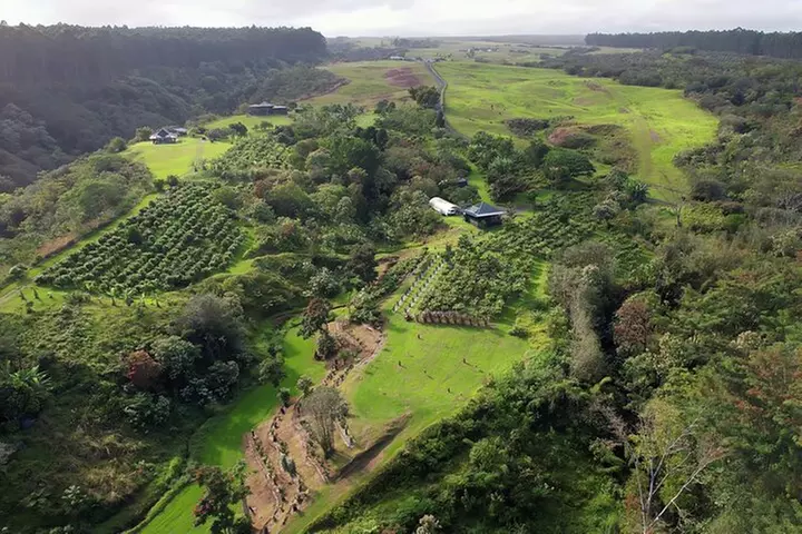 10 Bar Hawaiian Craft Chocolate Tasting Experience