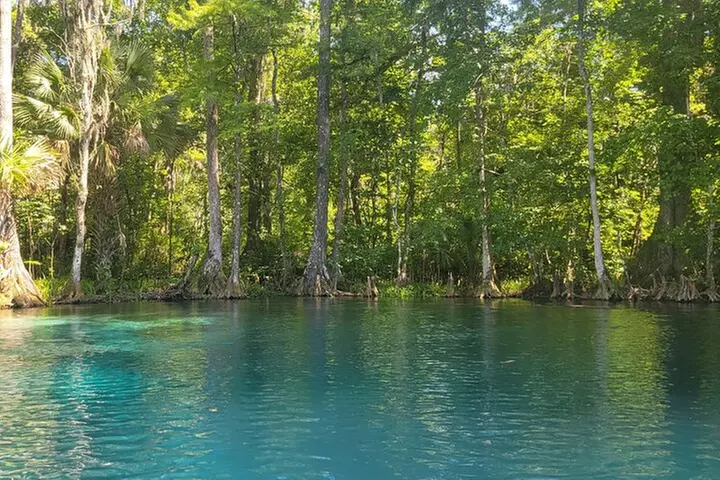 Clear Canoeing and Wildlife Sightseeing at Silver Springs
