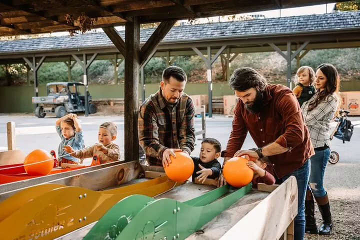 Shepherd's Adventure Park