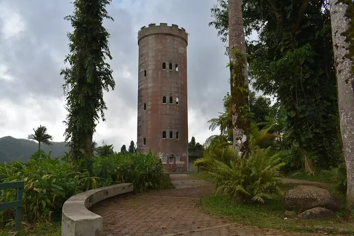 Day Trip to El Yunque Tropical Rainforest from San Juan
