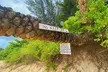 【New: Private Tour】Oahu Grand Circle Island Sightseeing Experience - Second Medium