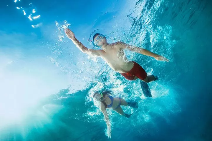 5 in 1 Deluxe Cruise: Turtle Snorkeling, Activities and Pick-Up