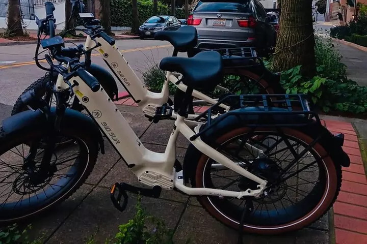 Summer of Love San Francisco Guided eBike Tour Golden Gate Park